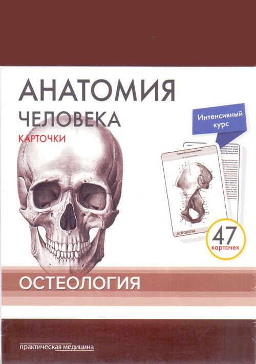 Сапин, Анатомия человека: КАРТОЧКИ (47шт). Остеология. Русские и латинские названия анатомических структур (978-5-98811-468-0) Изд. Практическая Медицина
Сапин, Анатомия человека: КАРТОЧКИ (47шт). Остеология. Русские и латинские названия анатомических структур (978-5-98811-468-0) Изд. Практическая Медицина