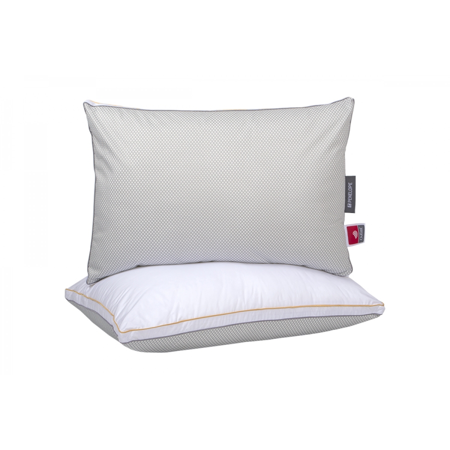 Подушка Penelope - ThermoCool Pro-Firm антиаллергенная 50*70 (svt-2000022217774)
Подушка Penelope - ThermoCool Pro-Firm антиаллергенная 50*70 (svt-2000022217774)