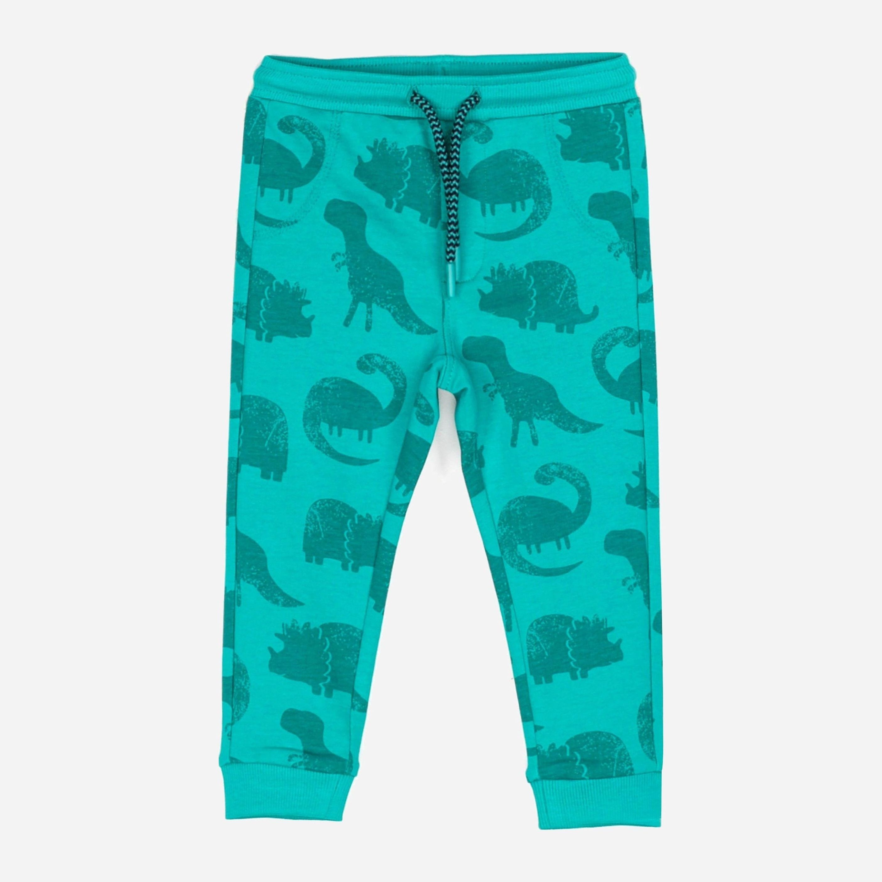 Спортивные штаны Coccodrillo Always Hungry ZC1122701ALW 80 см Зеленые (5904705597535)
Спортивные штаны Coccodrillo Always Hungry ZC1122701ALW 80 см Зеленые (5904705597535)