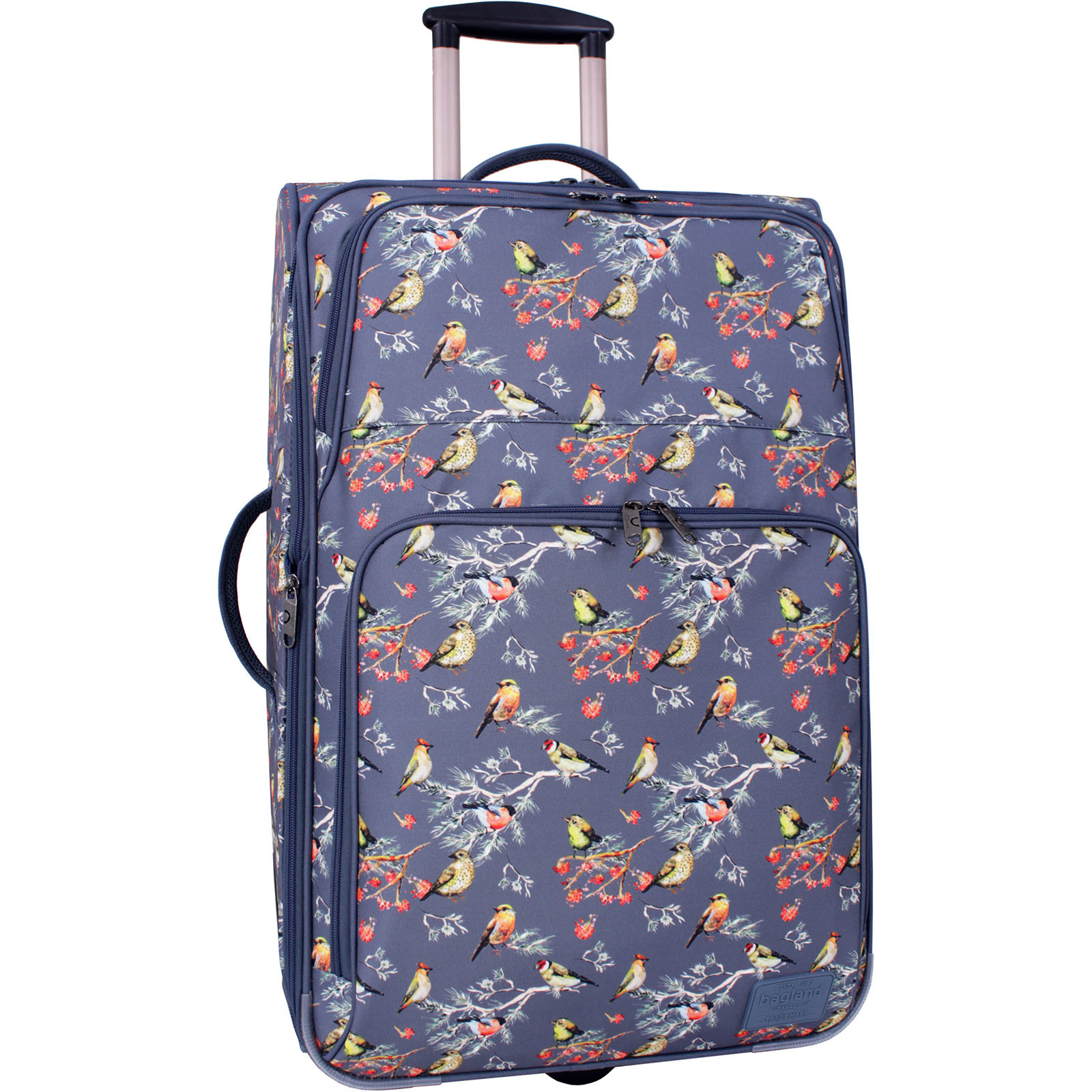 Чемодан большой Bagland Leon Winter birds, 70 л., 68х43х24 см., (С445-0037666274)
Чемодан большой Bagland Leon Winter birds, 70 л., 68х43х24 см., (С445-0037666274)