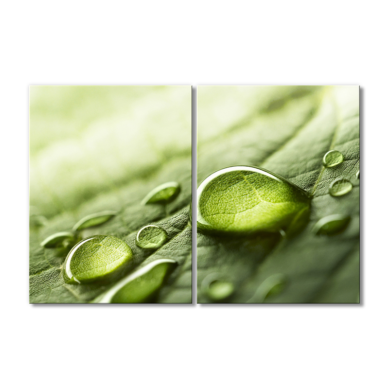 Модульная картина Artel «Капли росы на листе» 2 модуля 120x180 см 
Модульная картина Artel «Капли росы на листе» 2 модуля 120x180 см