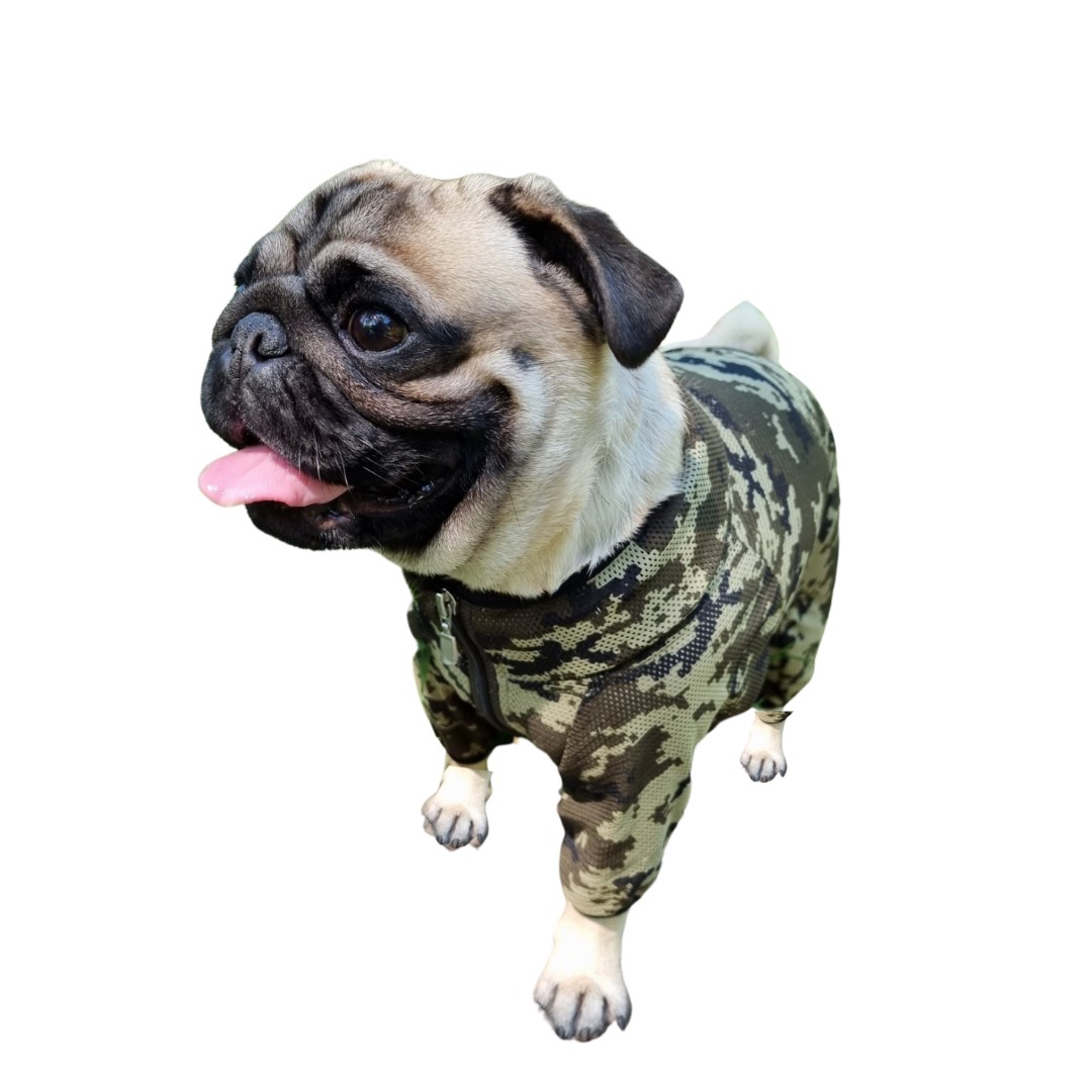 Комбинезон Adventurer Для Собак Хаки XXS (16)
Комбинезон Adventurer Для Собак Хаки XXS (16)