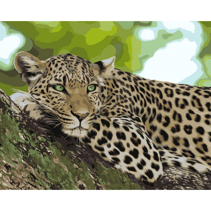 Картина по номерам Идейка Отдых хищника 40х50см KHO4175
Картина по номерам Идейка Отдых хищника 40х50см KHO4175