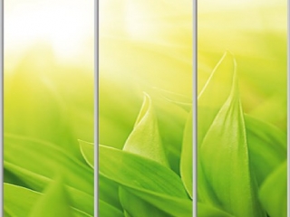 Шкаф купе Luxe Studio Стандарт-1 Фотопечать Природа-46 2300x2400x600 трехдверный
Шкаф купе Luxe Studio Стандарт-1 Фотопечать Природа-46 2300x2400x600 трехдверный