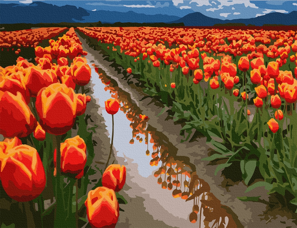 Картина по номерам ArtCraft Поля в Голландии 40*50 см (без коробки) арт.10524-AC
Картина по номерам ArtCraft Поля в Голландии 40*50 см (без коробки) арт.10524-AC