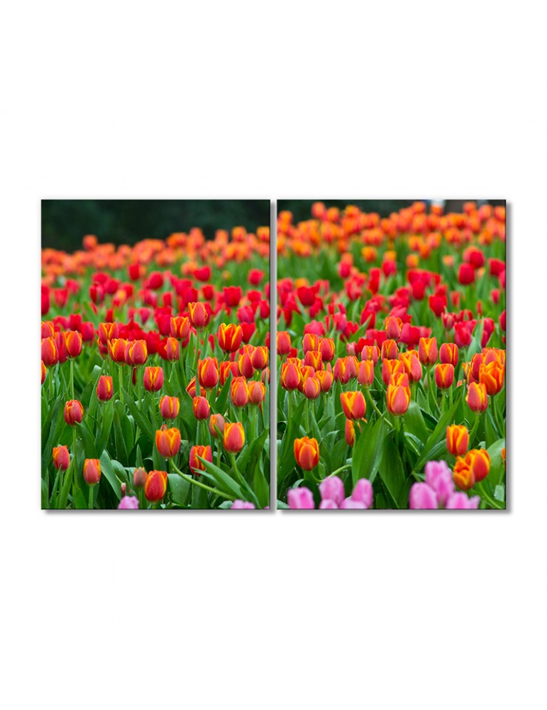 Модульная картина Artel «Поле тюльпанов» 2 модуля 80x120 см
Модульная картина Artel «Поле тюльпанов» 2 модуля 80x120 см