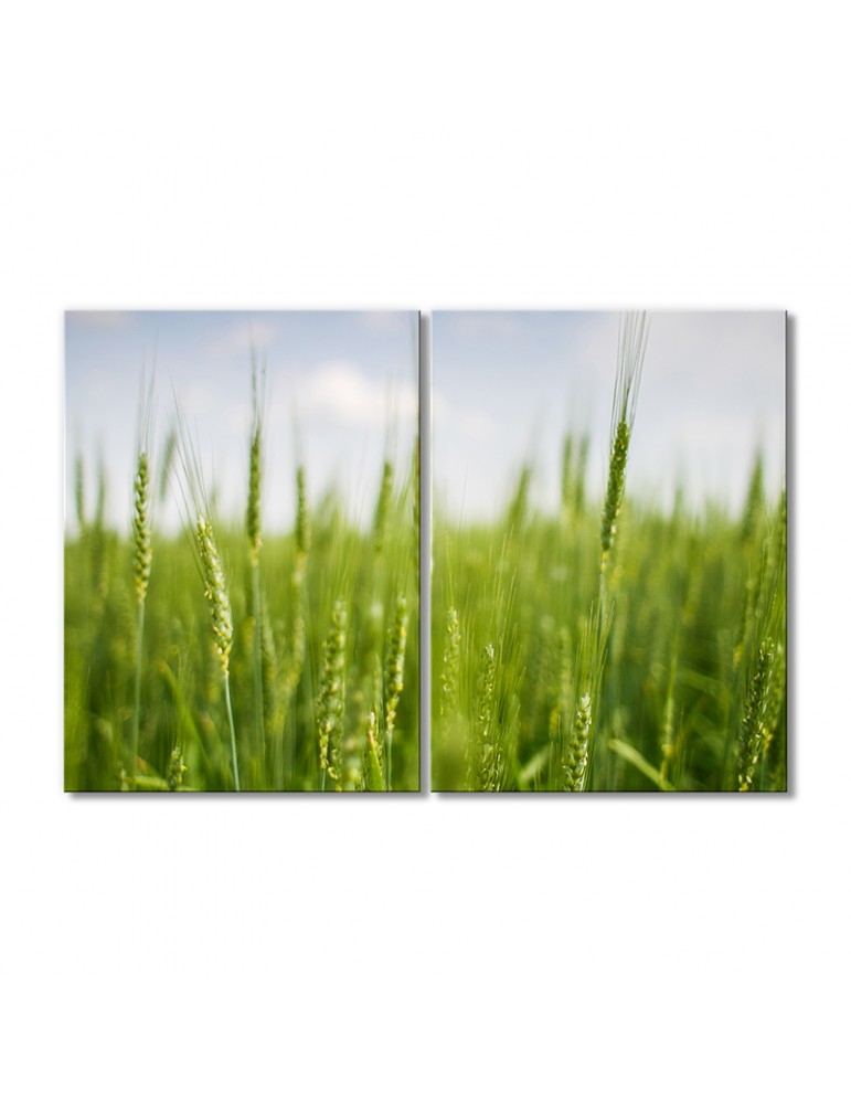 Модульная картина Artel «Поле колосков» 2 модуля 120x180 см
Модульная картина Artel «Поле колосков» 2 модуля 120x180 см