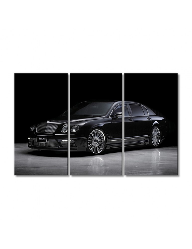 Модульная картина Artel «Уолт Бентли континентальный» 3 модуля 70x105 см
Модульная картина Artel «Уолт Бентли континентальный» 3 модуля 70x105 см