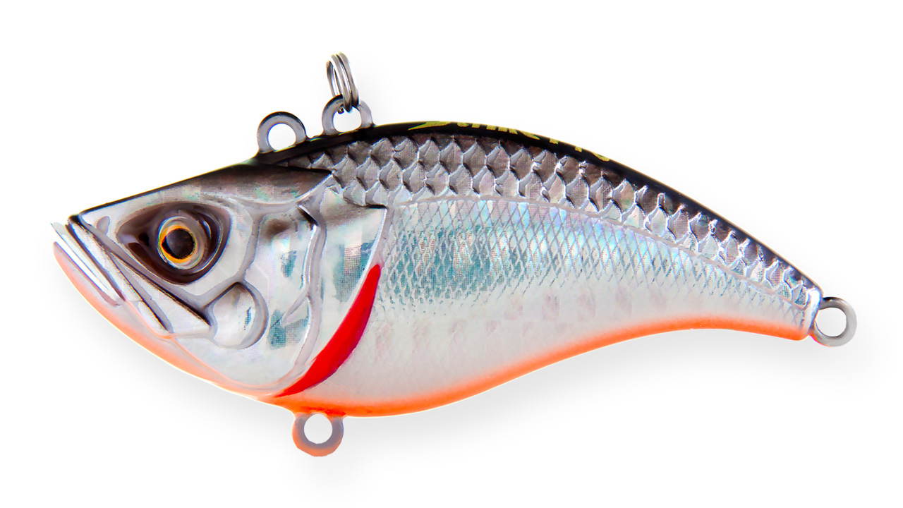 Воблер Раттлин Strike Pro Flap Jack 65, 65 мм, 13,6 гр, Тонущий, цвет: A70-713 Black Silver OB, (EG-128B#A70-713) (90855)
Воблер Раттлин Strike Pro Flap Jack 65, 65 мм, 13,6 гр, Тонущий, цвет: A70-713 Black Silver OB, (EG-128B#A70-713) (90855)