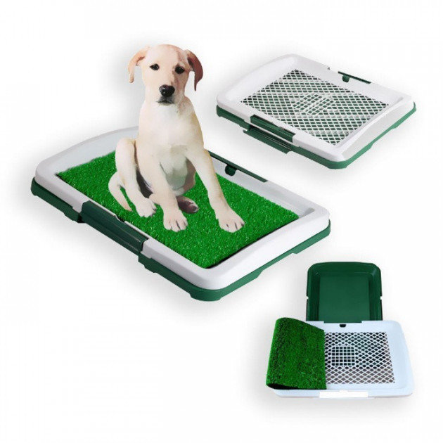 Туалет для собак Puppy Potty Pad из экологически чистых материалов 47х34 см Зелёный с серым TRG-2247 (698177)
Туалет для собак Puppy Potty Pad из экологически чистых материалов 47х34 см Зелёный с серым TRG-2247 (698177)