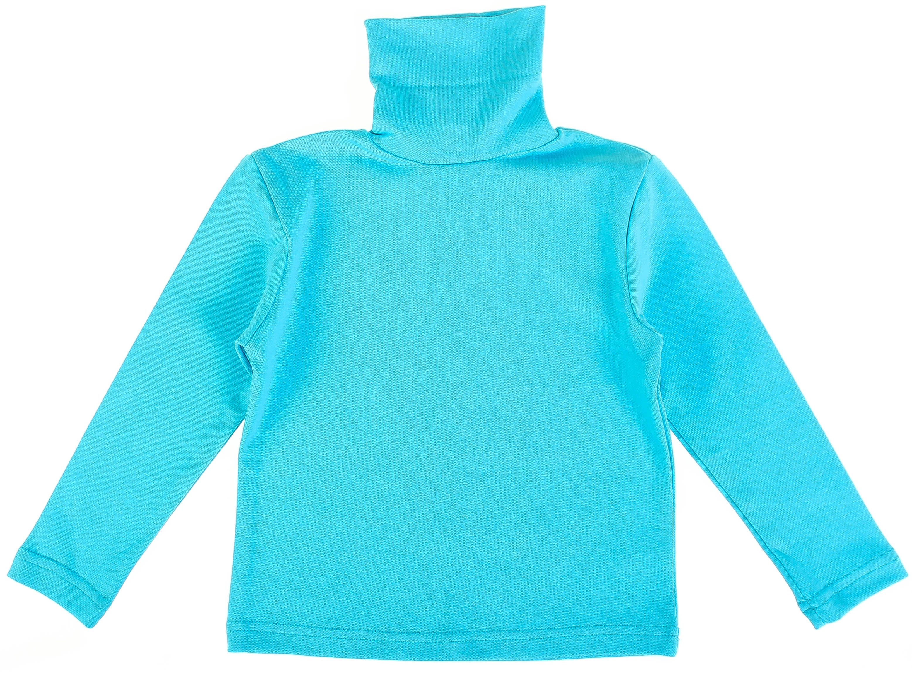 Водолазка Cloise Голубой 92 см CL0105001
Водолазка Cloise Голубой 92 см CL0105001