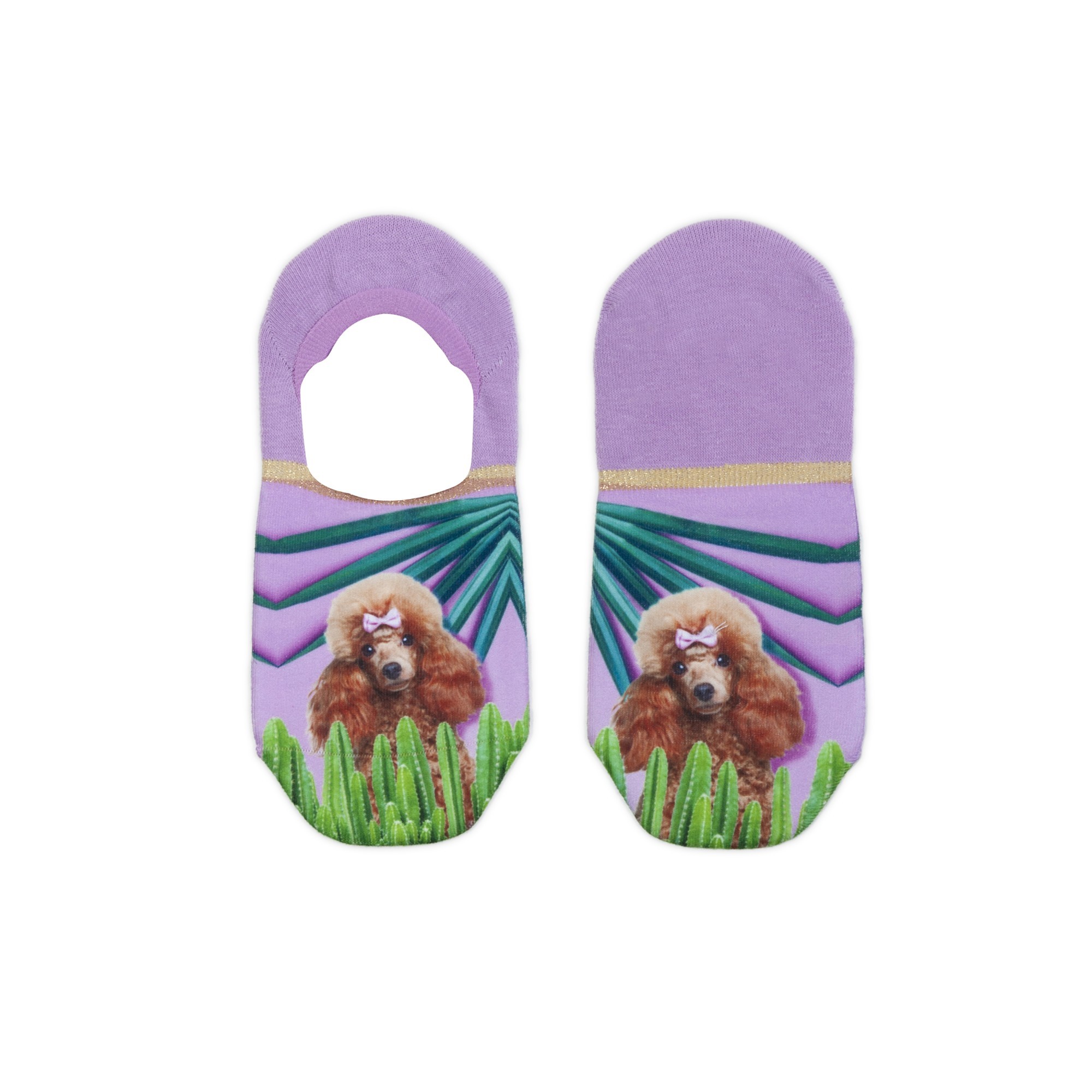 Носки ART OF SOCKS Poodle Разноцветные (72014-700, Носки ART OF SOCKS Poodle One size Разноцветные (72014-700)
Носки ART OF SOCKS Poodle Разноцветные (72014-700, Носки ART OF SOCKS Poodle One size Разноцветные (72014-700)