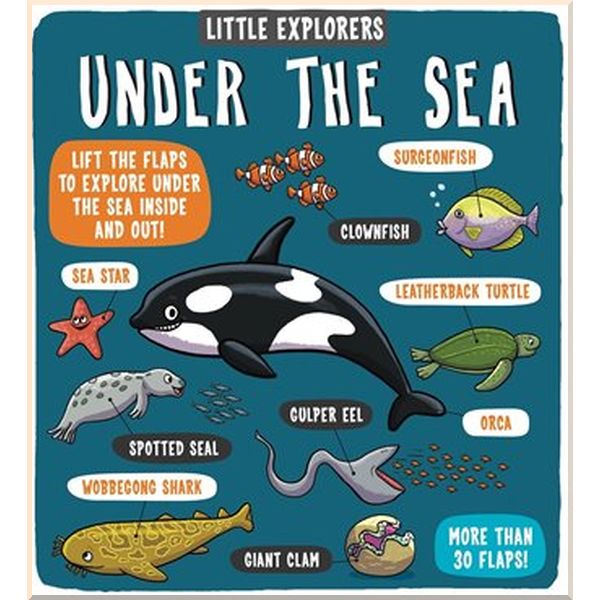 Templar Little Explorers: Under the Sea. Ruth Martin, Allan Sanders. ISBN:9781783708642
Templar Little Explorers: Under the Sea. Ruth Martin, Allan Sanders. ISBN:9781783708642
