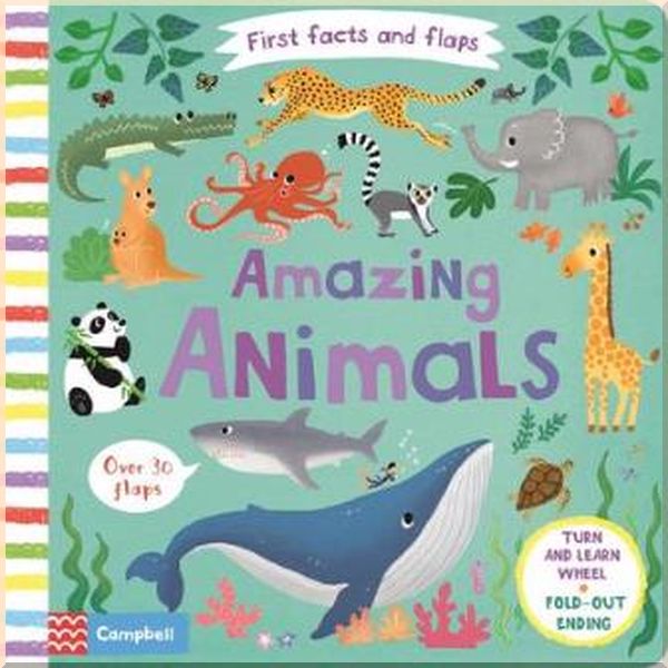 Campbell Books First Facts and Flaps: Amazing Animals. Lon Lee. ISBN:9781509877034
Campbell Books First Facts and Flaps: Amazing Animals. Lon Lee. ISBN:9781509877034