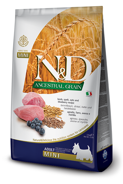 Farmina (Фармина) N&D LOW GRAIN DOG LAMB & BLUEBERRY ADULT MINI 800 GRНизкозерновой сухой корм для собак мелких пород (ягненок / черника), 800 гр
Farmina (Фармина) N&D LOW GRAIN DOG LAMB & BLUEBERRY ADULT MINI 800 GRНизкозерновой сухой корм для собак мелких пород (ягненок / черника), 800 гр