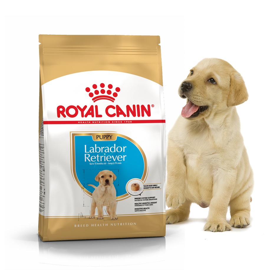 Сухой корм Royal Canin для щенков лабрадора ретривера с 2 до 15 месяцев Breed Labrador Retriever junior 3 кг BGL-RC-86
Сухой корм Royal Canin для щенков лабрадора ретривера с 2 до 15 месяцев Breed Labrador Retriever junior 3 кг BGL-RC-86