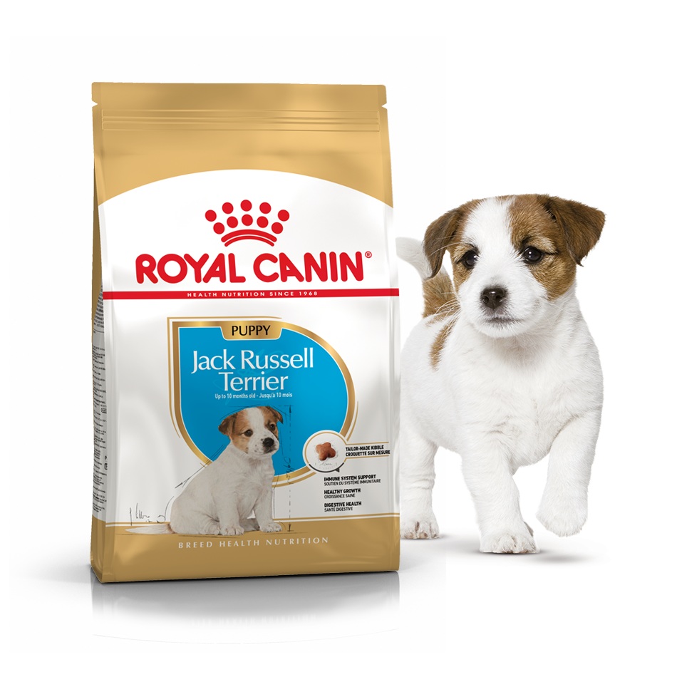 Сухой корм Royal Canin для щенков джек-рассел-терьер Breed Jack Russel junior 1,5 кг BGL-RC-236
Сухой корм Royal Canin для щенков джек-рассел-терьер Breed Jack Russel junior 1,5 кг BGL-RC-236