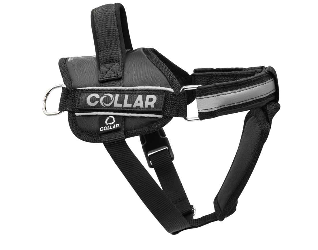 Шлея для собак черная POLICE Dog Extreme COLLAR дл. 55-75 см CoLLar Dog Extremе BGL-WD-3425
Шлея для собак черная POLICE Dog Extreme COLLAR дл. 55-75 см CoLLar Dog Extremе BGL-WD-3425
