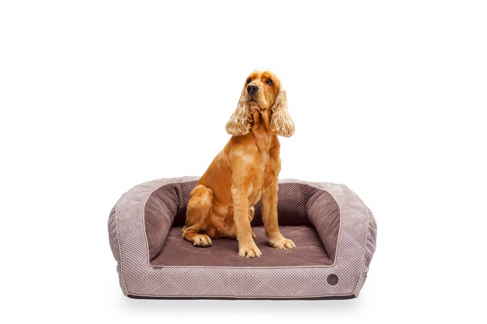 Ортопедический диван коричневый Sleeper c Memory Foam Soft Touch Brown XL (130х90 cm) Harley & Cho BGL-HL-09-2
Ортопедический диван коричневый Sleeper c Memory Foam Soft Touch Brown XL (130х90 cm) Harley & Cho BGL-HL-09-2