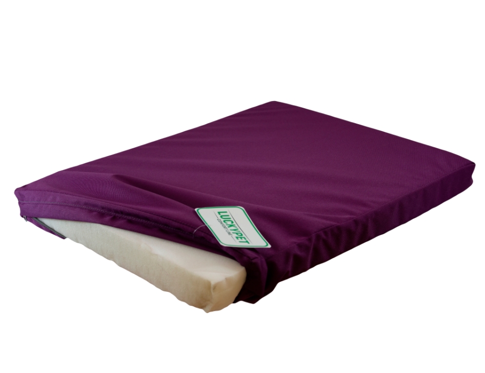 Матрас №6 для собак и котов Харлей Фиолетовый Lucky Pet 80х120х5 см Lucky Pet BGL-LP-140
Матрас №6 для собак и котов Харлей Фиолетовый Lucky Pet 80х120х5 см Lucky Pet BGL-LP-140
