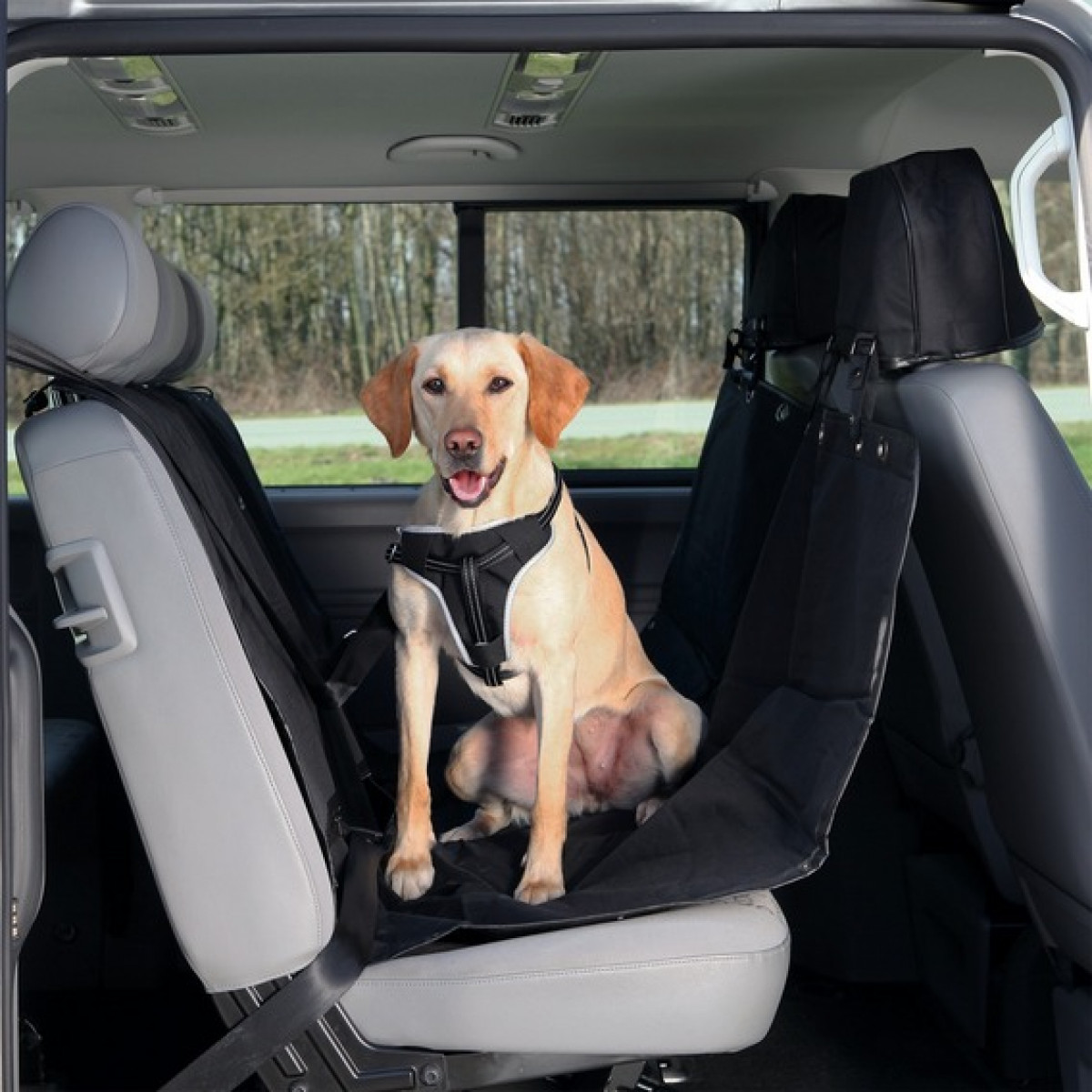 CAR SEAT Cover - Подстилка в автомобиль для собак 1.45 x 1.6 м Trixie BGL-DR-8539
CAR SEAT Cover - Подстилка в автомобиль для собак 1.45 x 1.6 м Trixie BGL-DR-8539