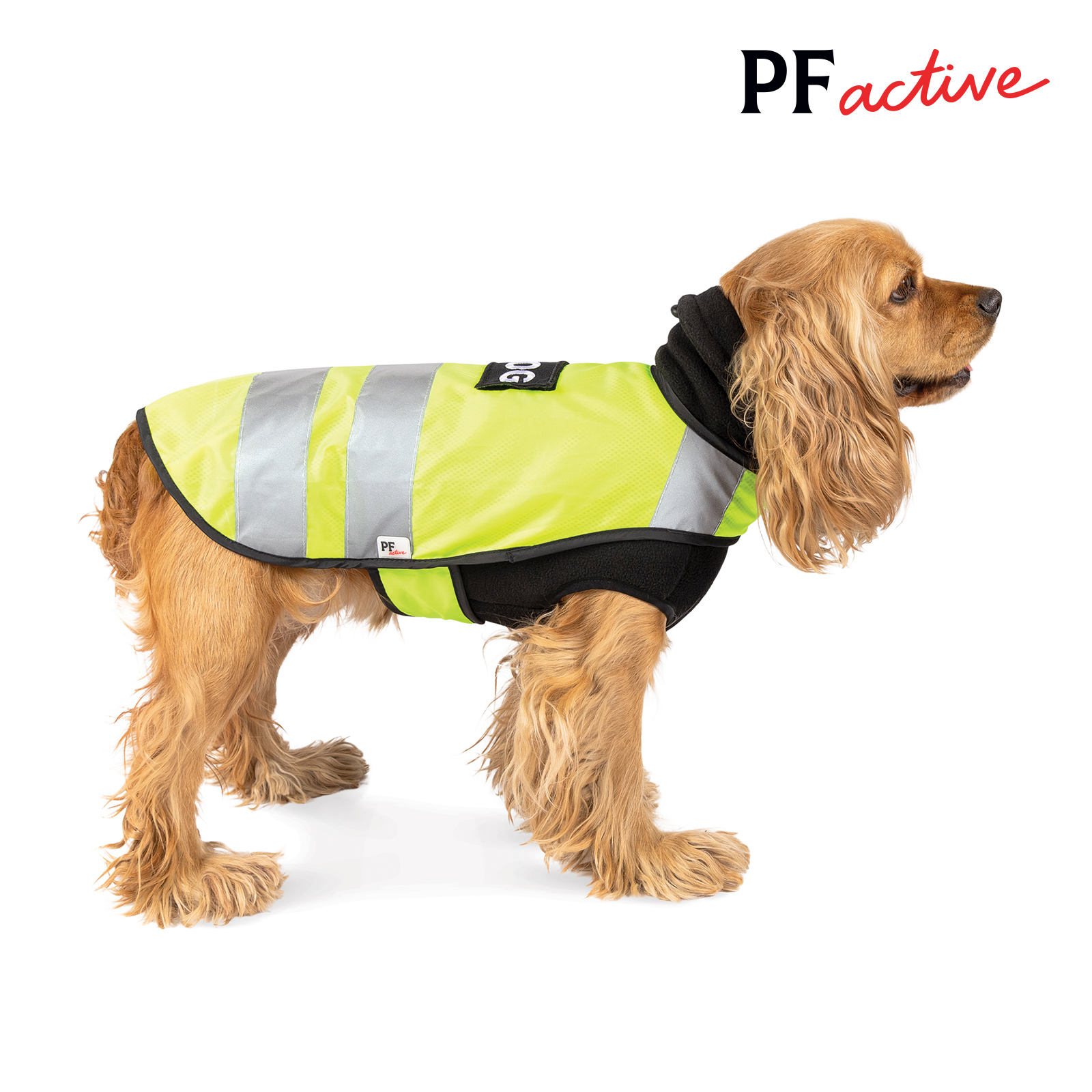 Жилет для собак с теплым флисовым свитером в комплекте WARM YELLOW VEST L Pet Fashion BGL-PF-1105
Жилет для собак с теплым флисовым свитером в комплекте WARM YELLOW VEST L Pet Fashion BGL-PF-1105
