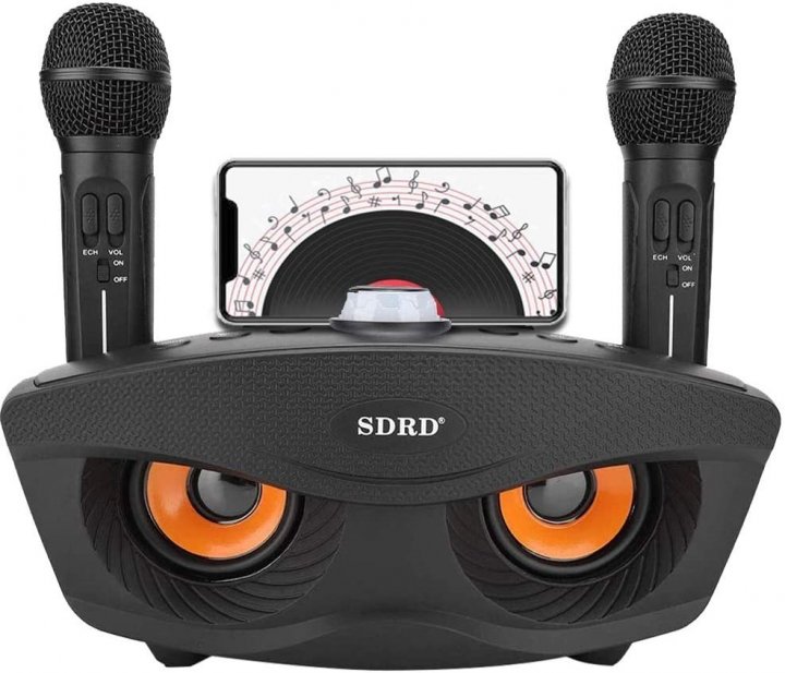 Караоке система SDRD SD-306 PRO БЕСПРОВОДНАЯ с колонкой и двумя микрофонами Серая
Караоке система SDRD SD-306 PRO БЕСПРОВОДНАЯ с колонкой и двумя микрофонами Серая