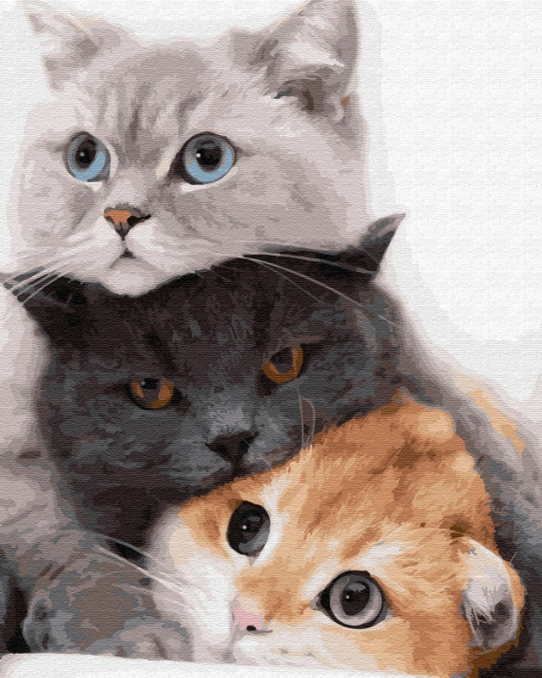 Картина по номерам / анти-стресс раскраска Brushme "Котики - муркотики" GX34826, 40х50 см
Картина по номерам / анти-стресс раскраска Brushme "Котики - муркотики" GX34826, 40х50 см