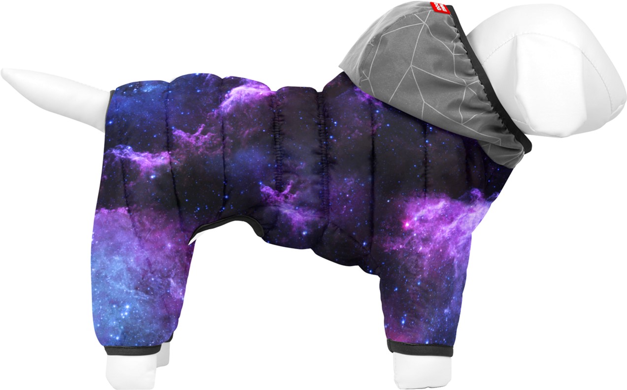 Комбинезон для собак COLLAR WAUDOG Clothes рисунок "NASA21", XS25, В 36-38 см, С 24-26 см (5425-0148Collar)
Комбинезон для собак COLLAR WAUDOG Clothes рисунок "NASA21", XS25, В 36-38 см, С 24-26 см (5425-0148Collar)