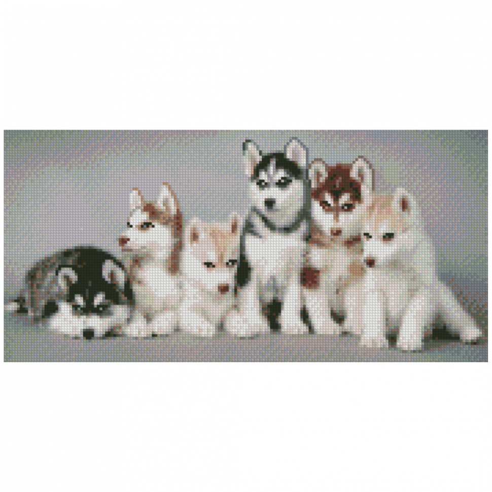 Алмазная мозаика «Маленькие хаски», 50х25 см
Алмазная мозаика «Маленькие хаски», 50х25 см