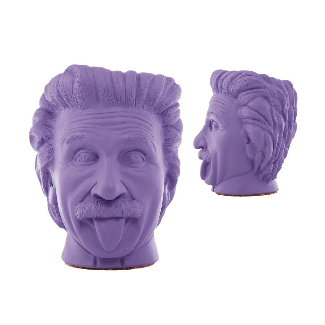 Ваза Альберт Эйнштейн 21 см фиолетовый
Ваза Альберт Эйнштейн 21 см фиолетовый