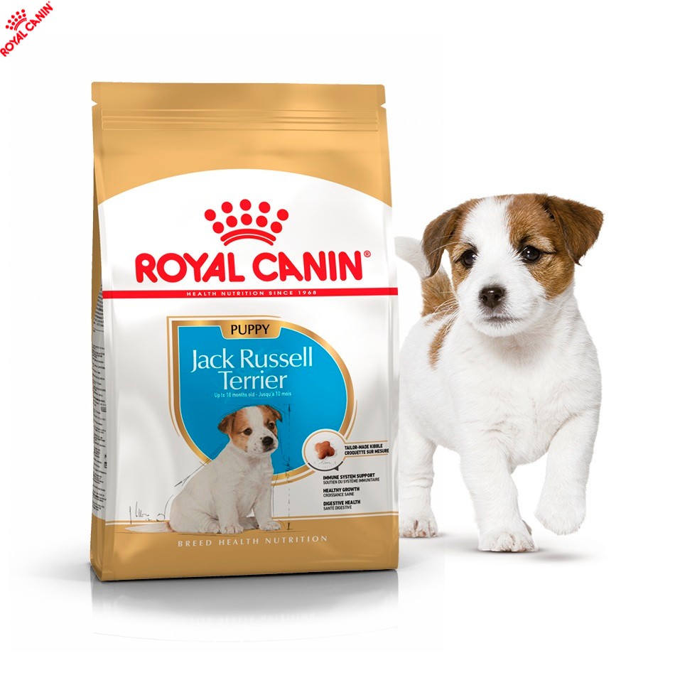 Сухой полнорационный корм Royal Canin Jack Russell Terrier Puppy корм для щенков джек-рассел-терьера 3 кг (21010051)
Сухой полнорационный корм Royal Canin Jack Russell Terrier Puppy корм для щенков джек-рассел-терьера 3 кг (21010051)