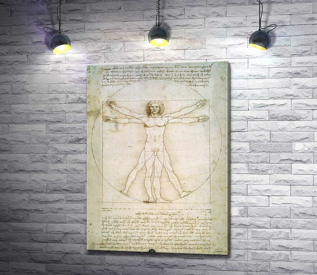 Картина ArtPoster Витрувианский человек (Homo vitruvianus) – Леонардо да Винчи (Leonardo da Vinci) 130x182 см Модуль №1
Картина ArtPoster Витрувианский человек (Homo vitruvianus) – Леонардо да Винчи (Leonardo da Vinci) 130x182 см Модуль №1