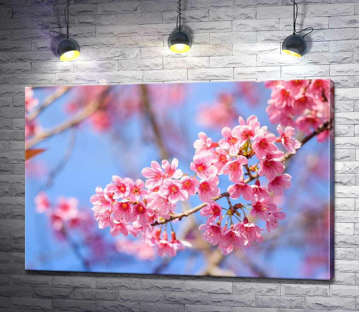 Картина ArtPoster Воздушная ветка, усеянная нежными цветами персика 130x87 см Модуль №1
Картина ArtPoster Воздушная ветка, усеянная нежными цветами персика 130x87 см Модуль №1