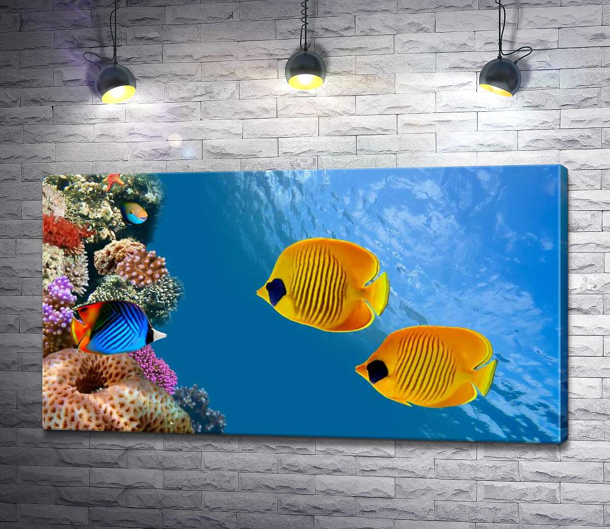 Картина ArtPoster Желтые рыбы-бабочки плавают среди острова кораллов 130x72 см Модуль №1
Картина ArtPoster Желтые рыбы-бабочки плавают среди острова кораллов 130x72 см Модуль №1