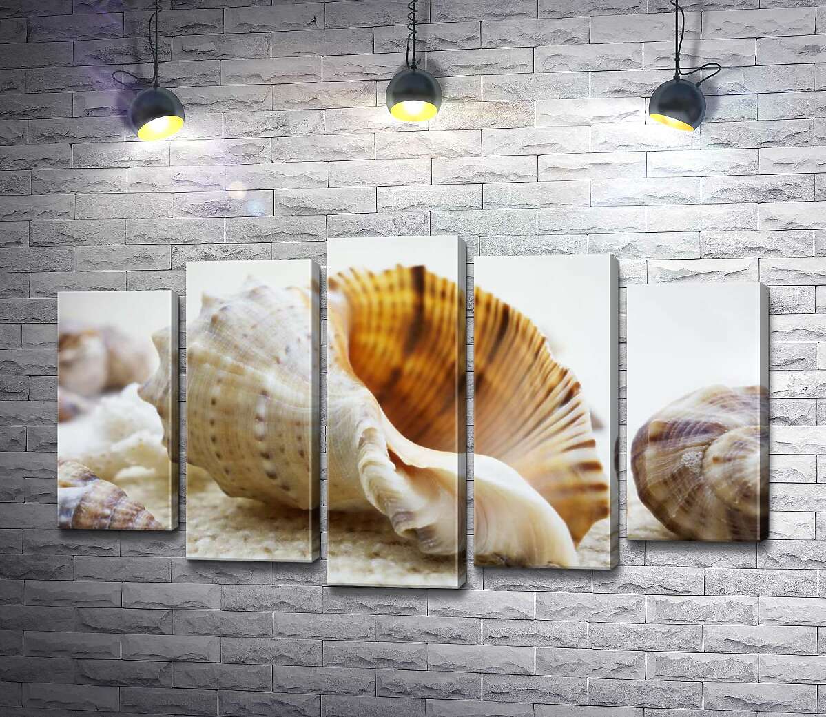 Модульная картина ArtPoster Ажурные изгибы форм в морских раковинах 100x61 см Модуль №26
Модульная картина ArtPoster Ажурные изгибы форм в морских раковинах 100x61 см Модуль №26