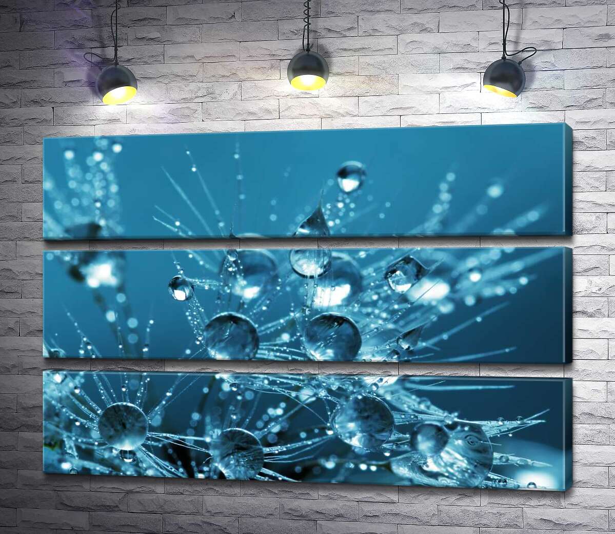 Модульная картина ArtPoster Ажурные кончики одуванчика утопают в каплях воды 91x60 см Модуль №13
Модульная картина ArtPoster Ажурные кончики одуванчика утопают в каплях воды 91x60 см Модуль №13