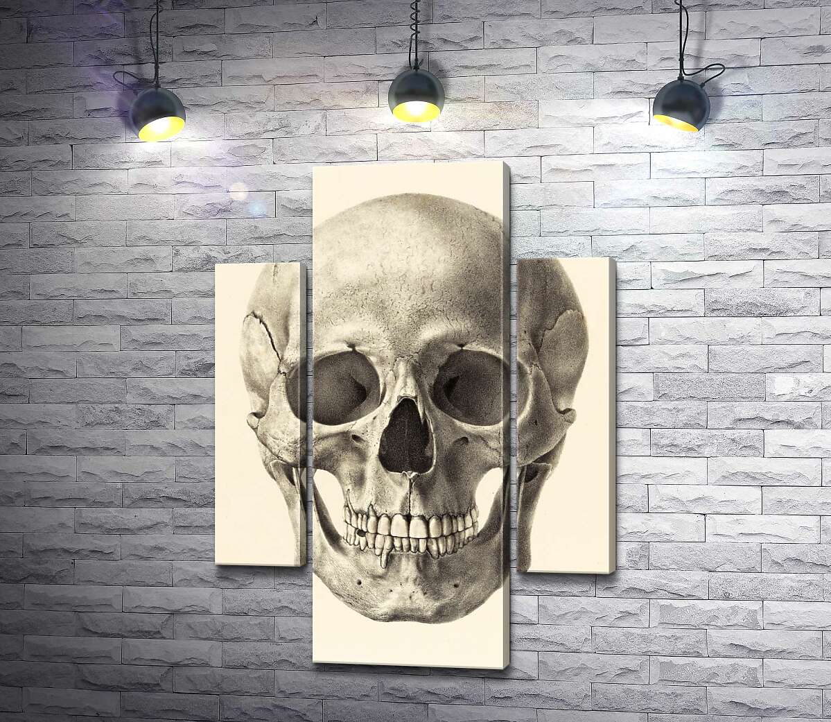 Модульная картина ArtPoster Анатомия в деталях: череп человека 131x185 см Модуль №7
Модульная картина ArtPoster Анатомия в деталях: череп человека 131x185 см Модуль №7