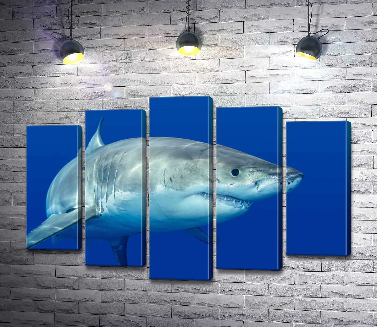 Модульная картина ArtPoster Белая акула плавает в голубой воде 100x69 см Модуль №26
Модульная картина ArtPoster Белая акула плавает в голубой воде 100x69 см Модуль №26