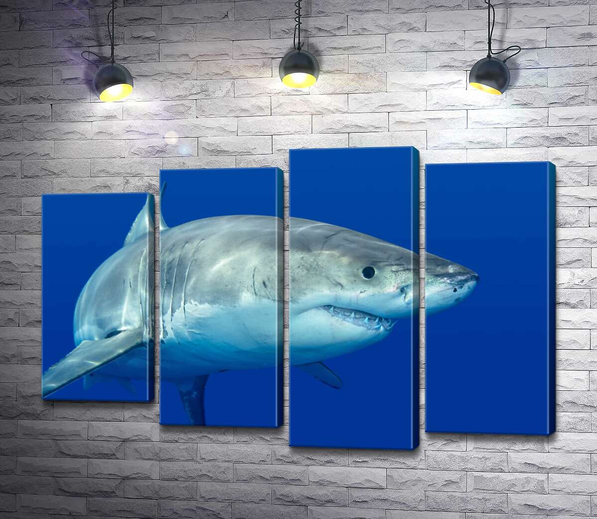 Модульная картина ArtPoster Белая акула плавает в голубой воде 132x89 см Модуль №21
Модульная картина ArtPoster Белая акула плавает в голубой воде 132x89 см Модуль №21