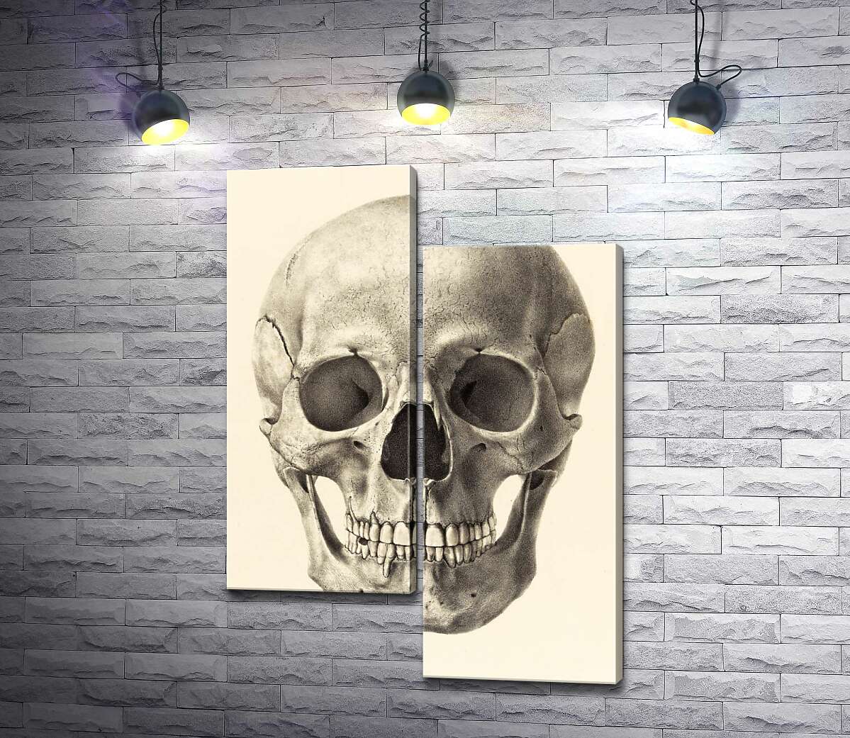 Модульная картина ArtPoster Анатомия в деталях: череп человека 100x142 см Модуль №5
Модульная картина ArtPoster Анатомия в деталях: череп человека 100x142 см Модуль №5