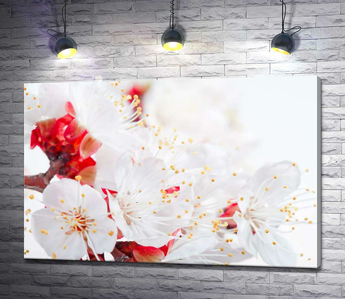 Картина ArtPoster Тонкие тычинки с желтыми кисточками на белых весенних цветах 130x87 см Модуль №1
Картина ArtPoster Тонкие тычинки с желтыми кисточками на белых весенних цветах 130x87 см Модуль №1