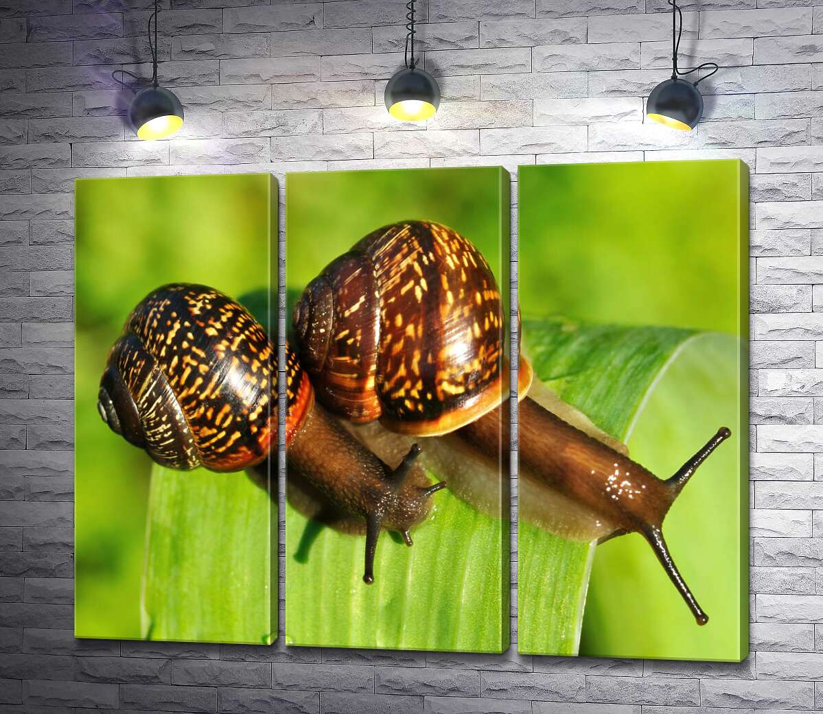 Модульная картина ArtPoster Две пятнистые улитки ползут по травинке 102x80 см Модуль №11
Модульная картина ArtPoster Две пятнистые улитки ползут по травинке 102x80 см Модуль №11