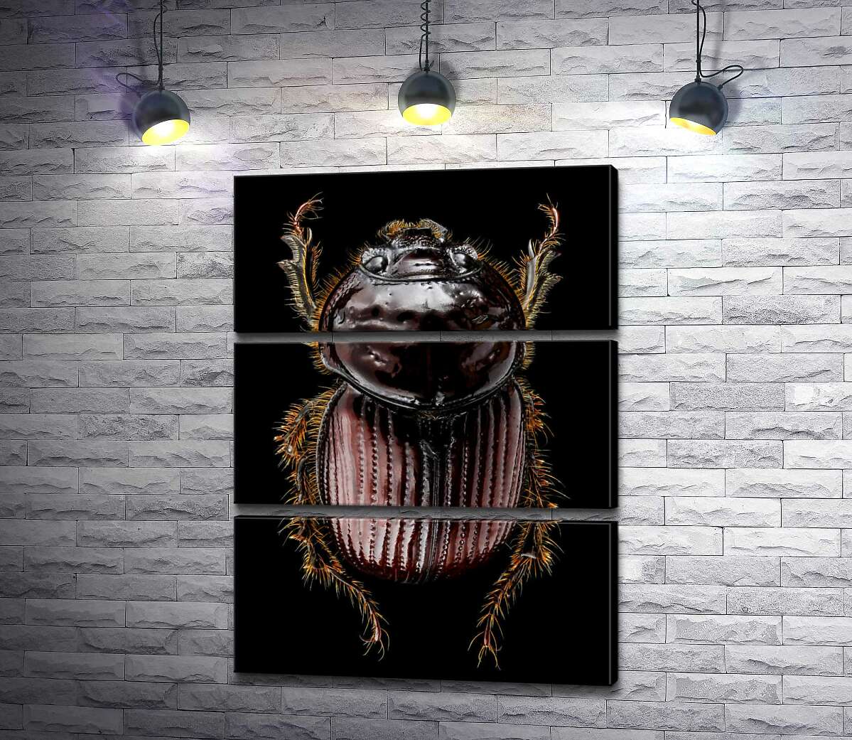 Модульная картина ArtPoster Коричневая поверхность панциря жука онтофага 130x174 см Модуль №13
Модульная картина ArtPoster Коричневая поверхность панциря жука онтофага 130x174 см Модуль №13