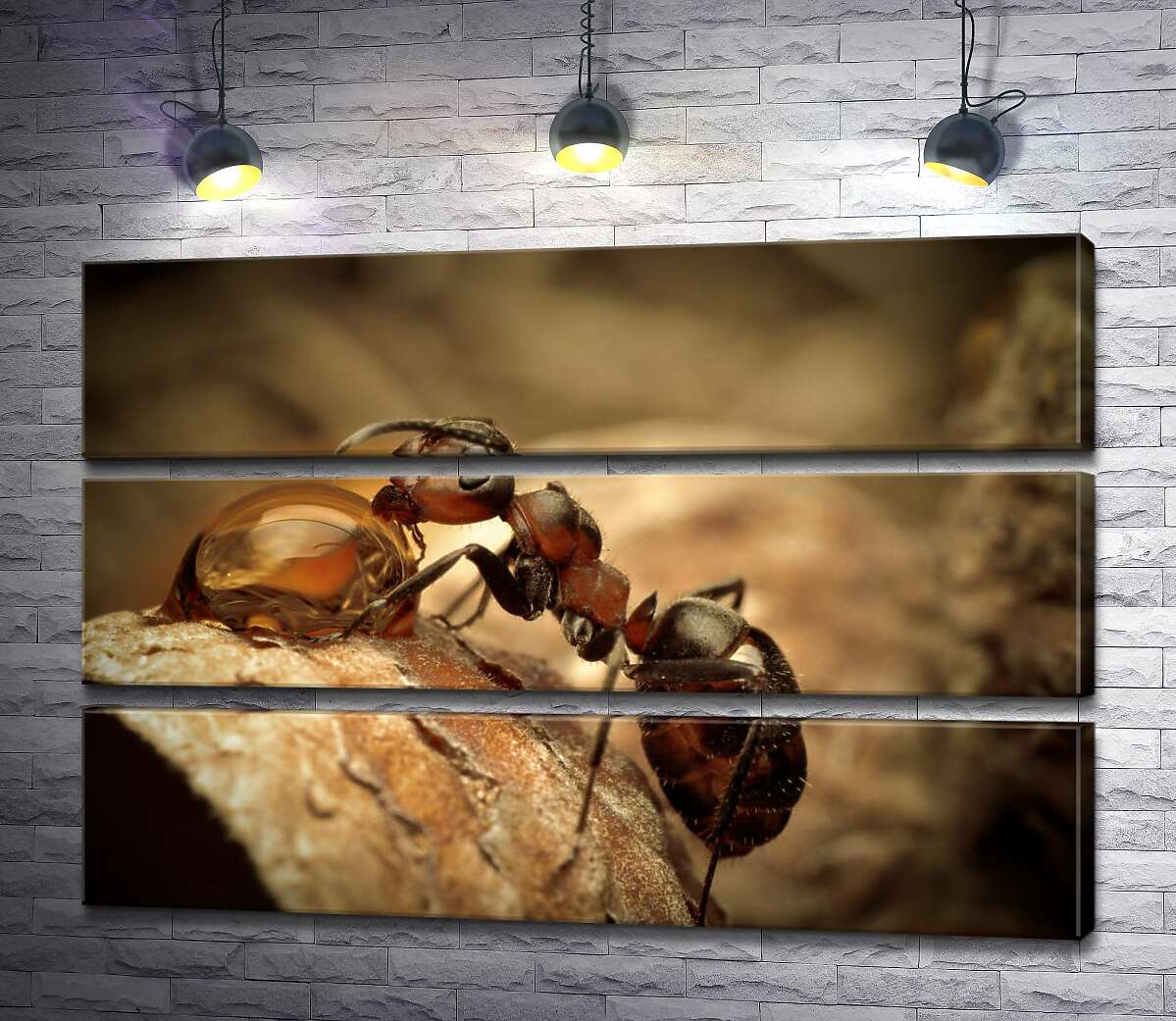 Модульная картина ArtPoster Маленький муравей пьет из капли 90x60 см Модуль №13
Модульная картина ArtPoster Маленький муравей пьет из капли 90x60 см Модуль №13