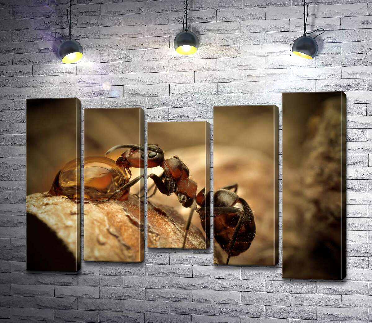 Модульная картина ArtPoster Маленький муравей пьет из капли 130x87 см Модуль №28
Модульная картина ArtPoster Маленький муравей пьет из капли 130x87 см Модуль №28