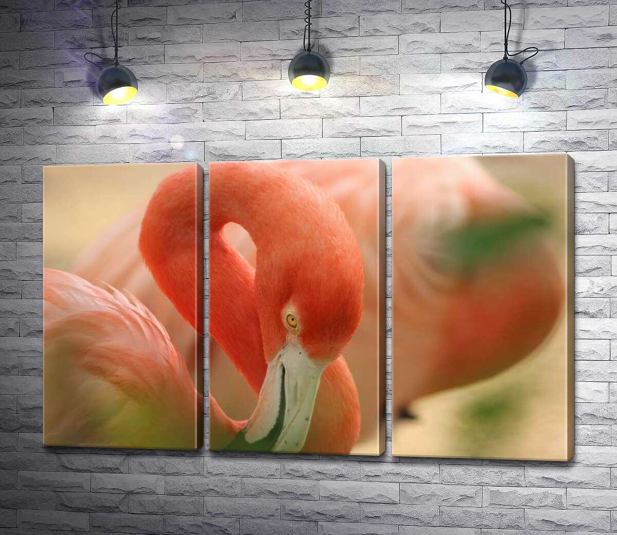Модульная картина ArtPoster Нежно-розовое оперение на изгибах шеи фламинго 60x38 см Модуль №11
Модульная картина ArtPoster Нежно-розовое оперение на изгибах шеи фламинго 60x38 см Модуль №11