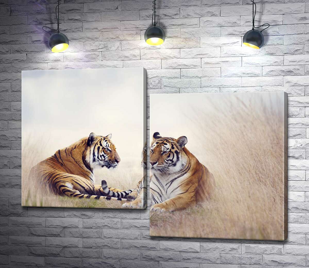 Модульная картина ArtPoster Полосатые тигры отдыхают в высокой степной траве 100x71 см Модуль №5
Модульная картина ArtPoster Полосатые тигры отдыхают в высокой степной траве 100x71 см Модуль №5