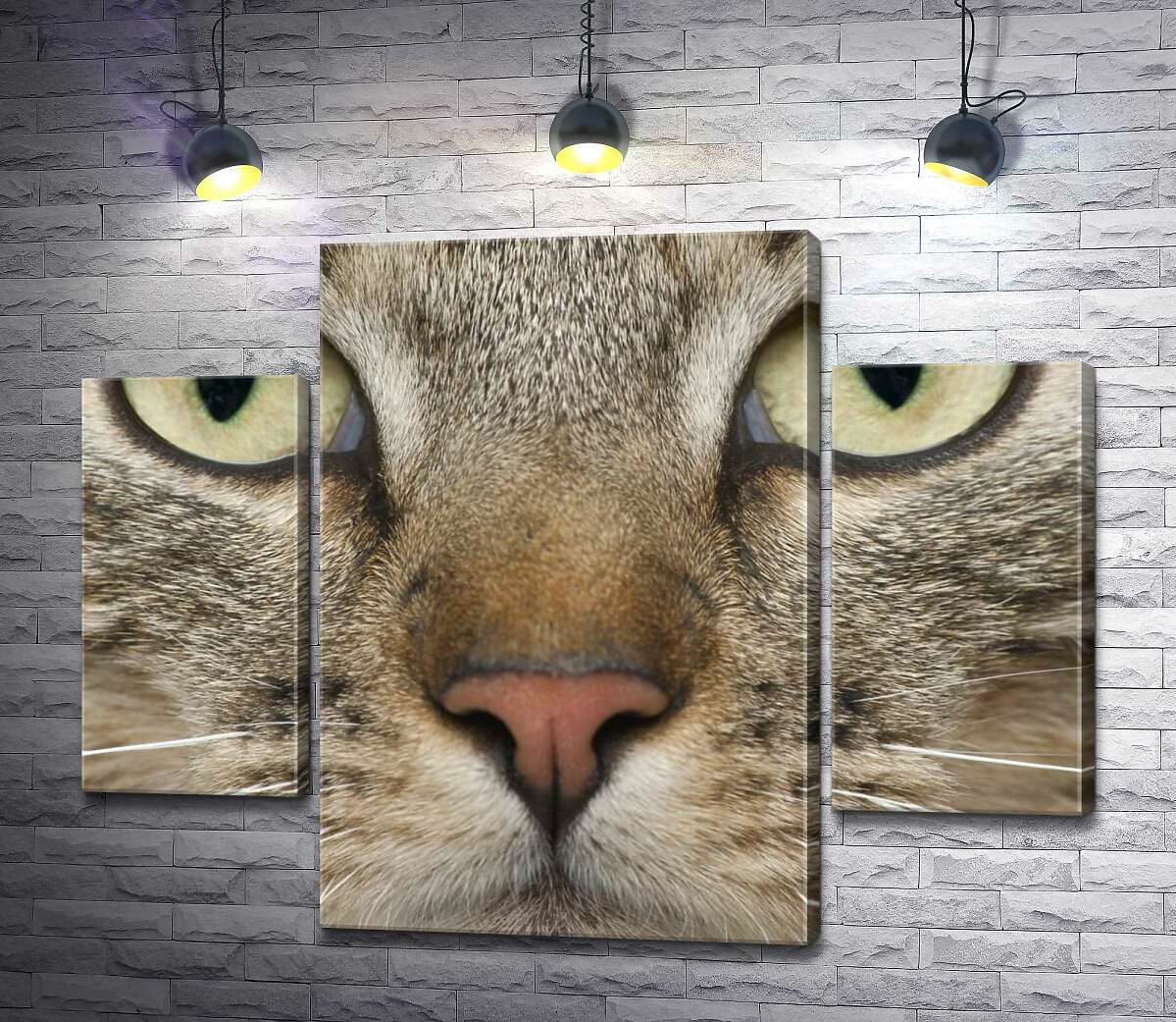 Модульная картина ArtPoster Сосредоточенный взгляд зеленых глаз кота 100x79 см Модуль №7
Модульная картина ArtPoster Сосредоточенный взгляд зеленых глаз кота 100x79 см Модуль №7