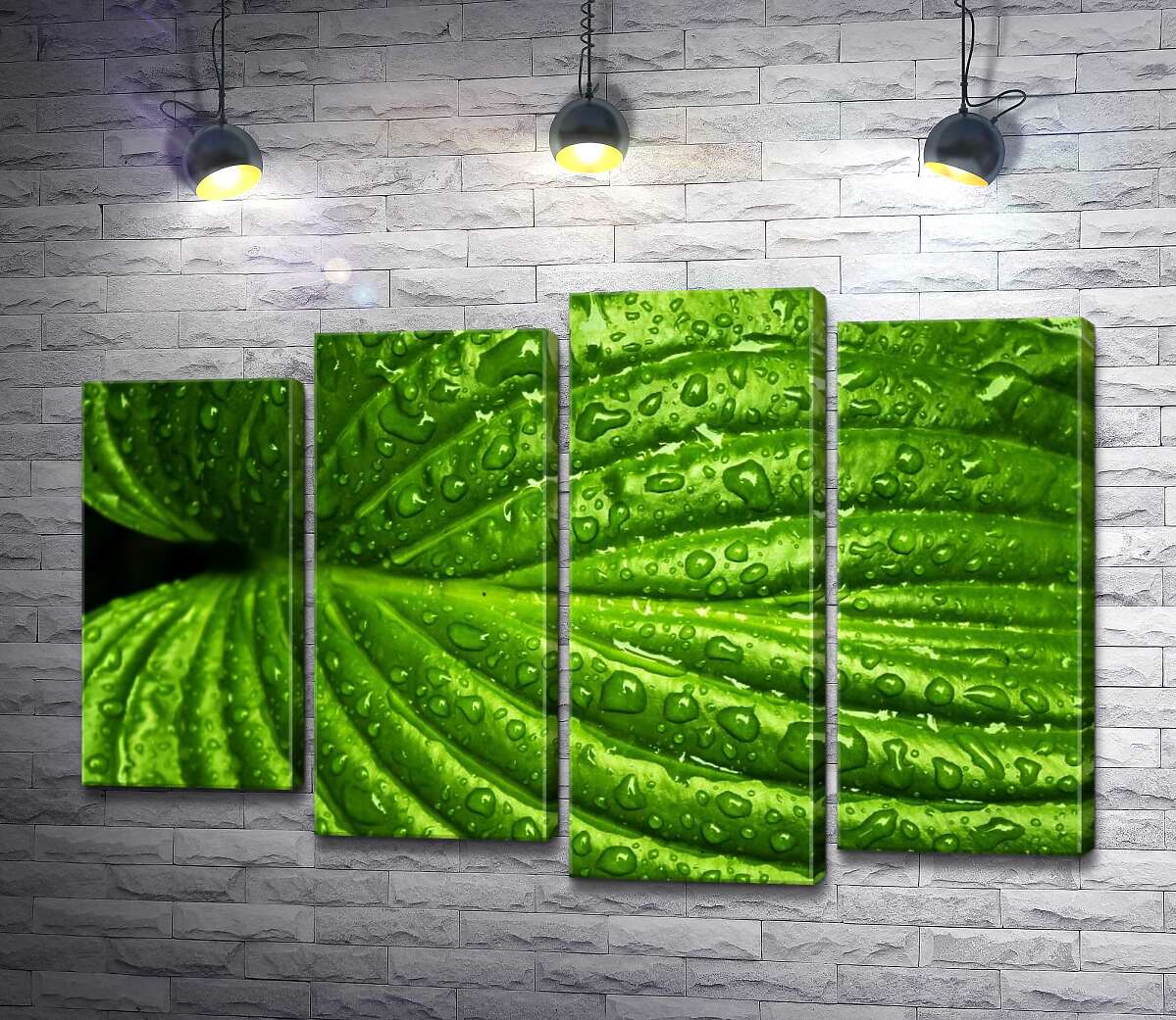 Модульная картина ArtPoster Ярко-зеленый тропический лист в освежающих дождевых каплях 132x89 см Модуль №21
Модульная картина ArtPoster Ярко-зеленый тропический лист в освежающих дождевых каплях 132x89 см Модуль №21